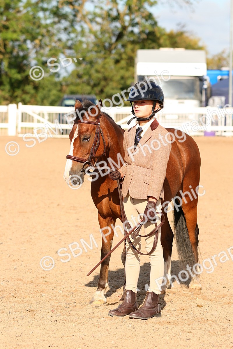 SBM_08680 - Class 203 - Young Handler 10 Years and Under