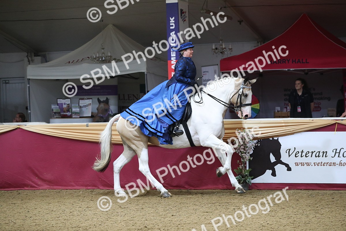 SBM_12013 - Class 106 Ridden Costume- Astride Adult (15-19)