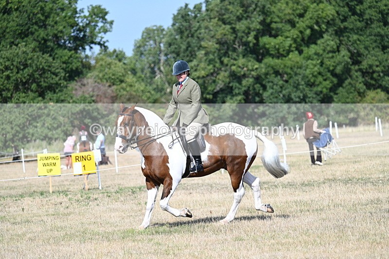 WJ7_2855 - Class 8 Ridden Tack & Turnout