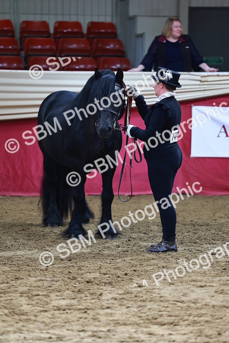 SBM_22396 - Class 902 - Supreme Final - IH Diamond