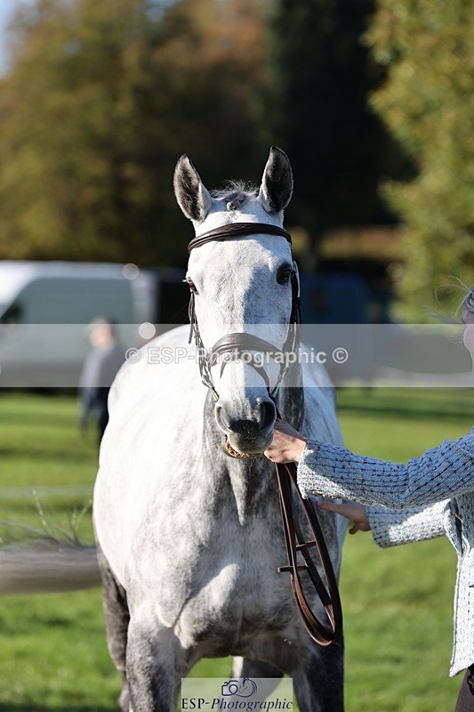 241027-092449-15275 - 306-Alice.Sandiford-THE.GREY.DANCER