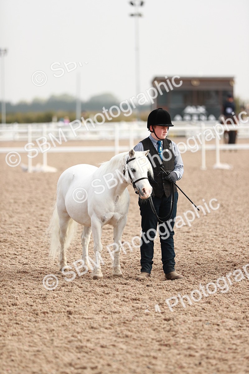 SBM_10531 - Class 204 Young Handler, 11-16 years