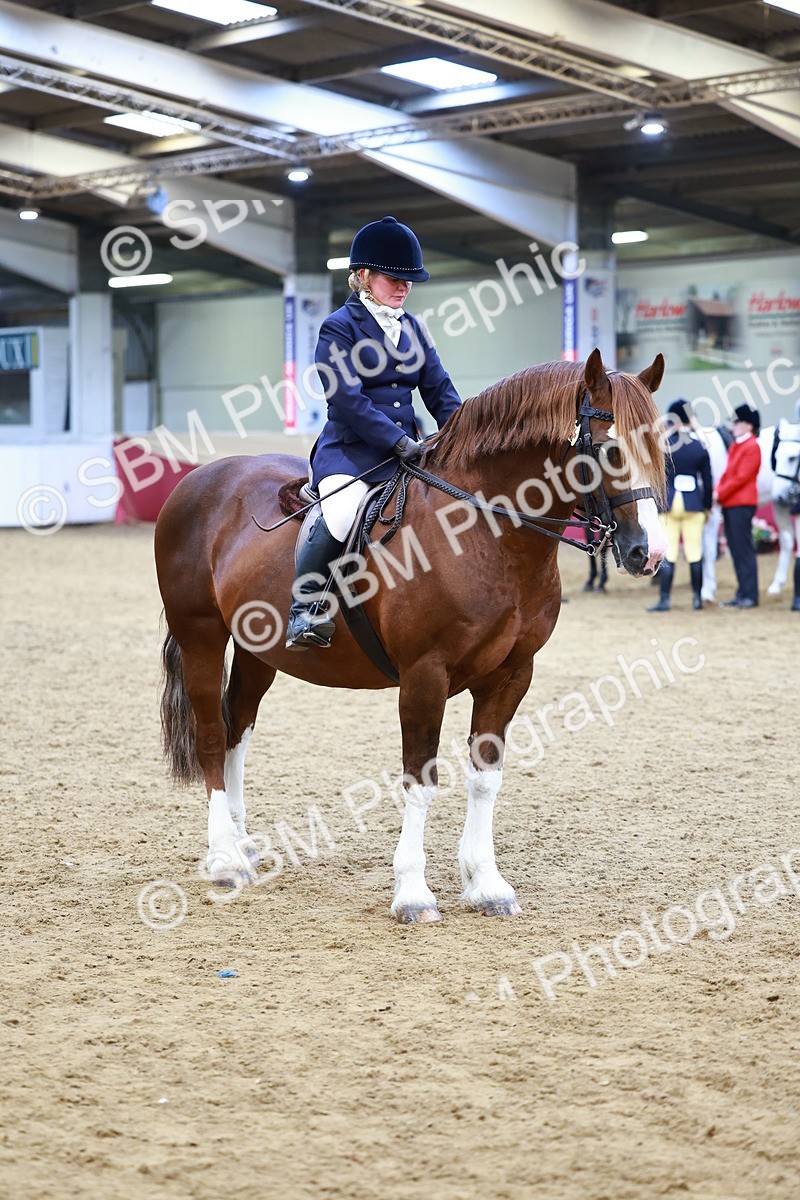 SBM_23405 - class 906 - Supreme Final - Ridden Pre Vet