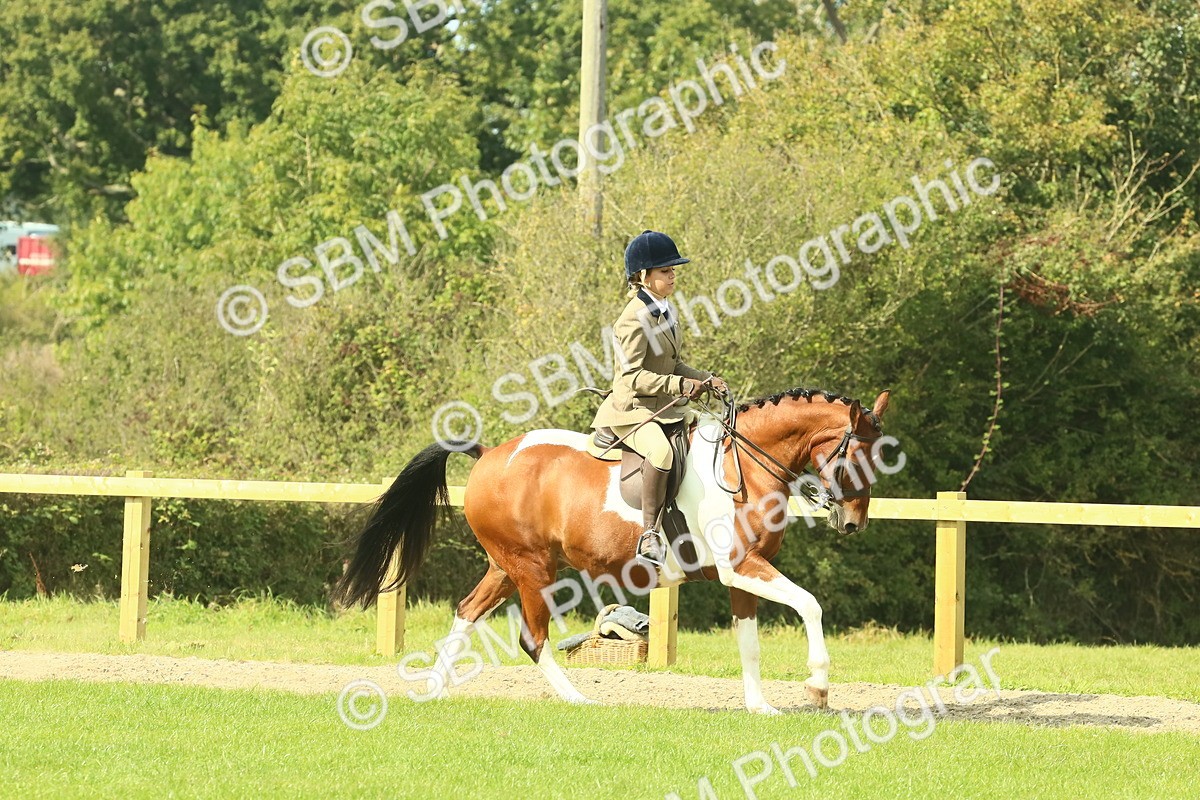 SBM_67449 - S56 - Coloured Pony Ridden