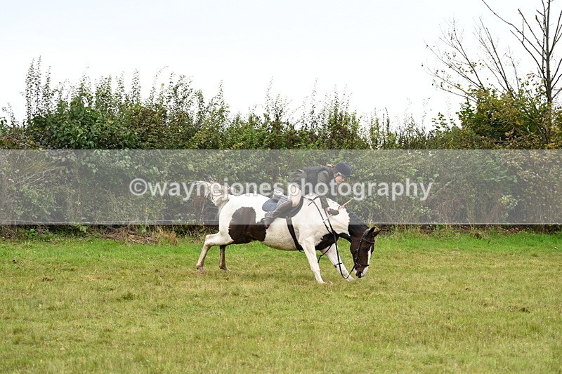 WJ7_4189 - Camera 1 Line 2