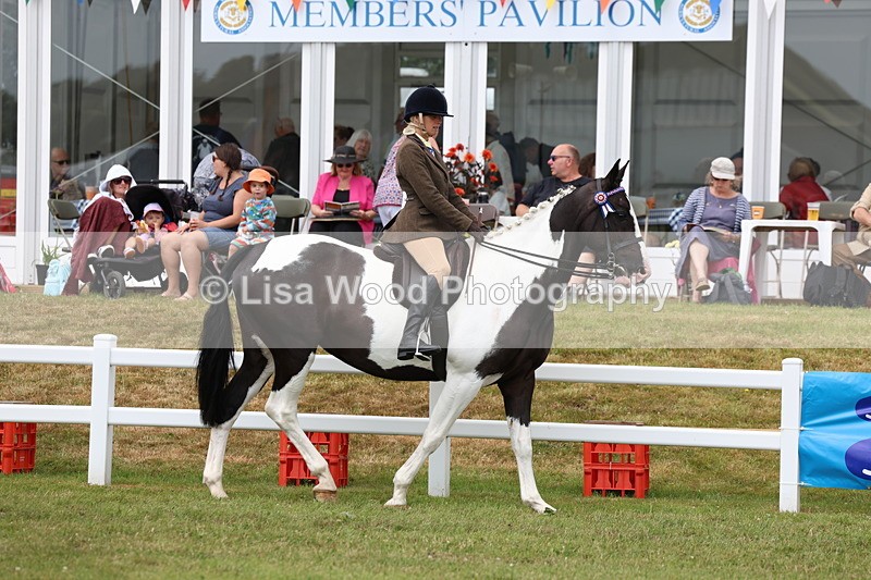 3E7A0799 - Class 8: Open Riding Horse/Hack