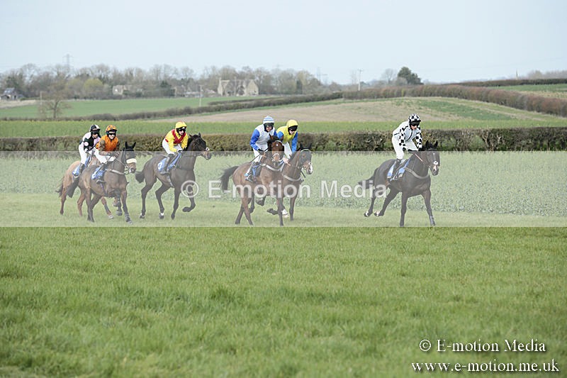 PtP 230319 242 - VWH Hunt Siddington Point-to-Point Racing 23/03/19