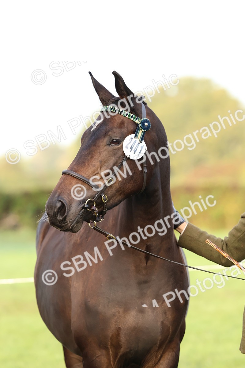 SBM_54534 - S38 - Starters Best Turnout