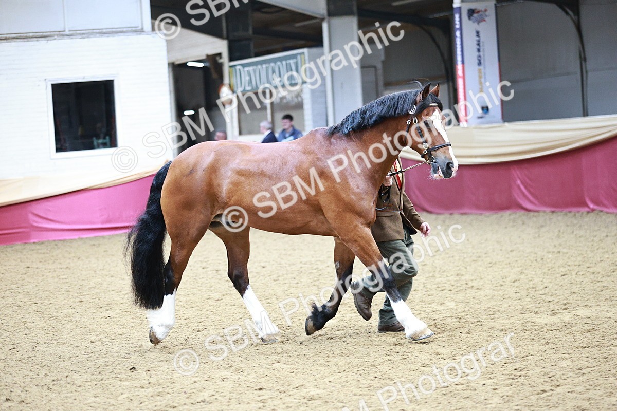 SBM_01155 - Class 3A - Area IH Pre-Vet