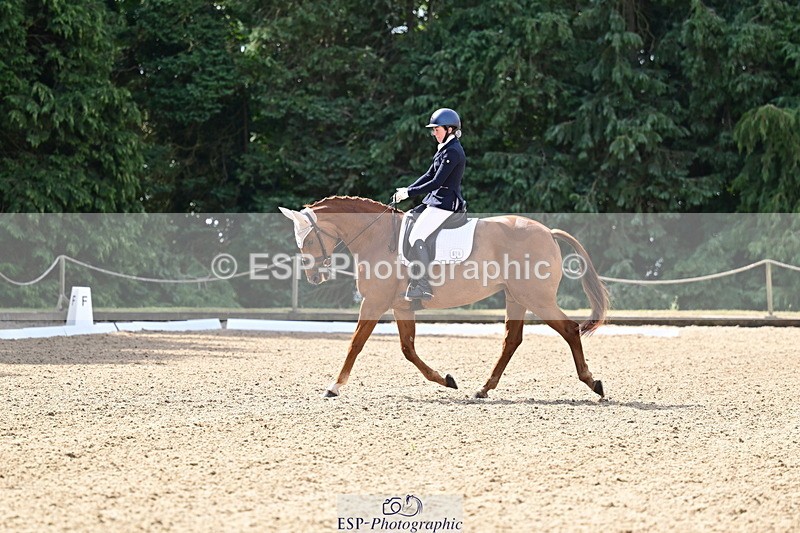 260802A-103511-05526 - Novice Silver break - break