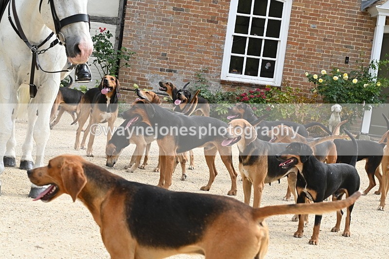 WJ6_3377 - Berks & Bucks - The Old farmhouse - Hound Exercise 20-08-25
