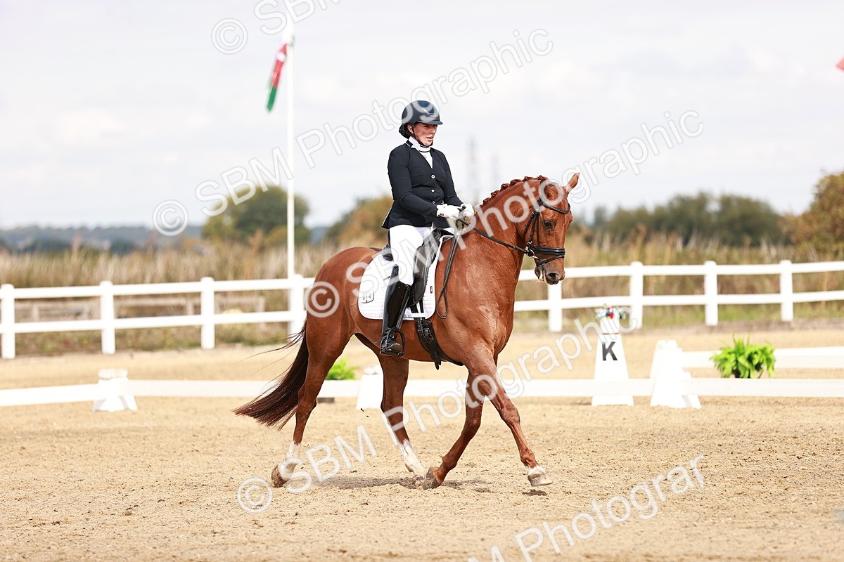 SBM_017689 - Class 11 - Advanced Medium 6