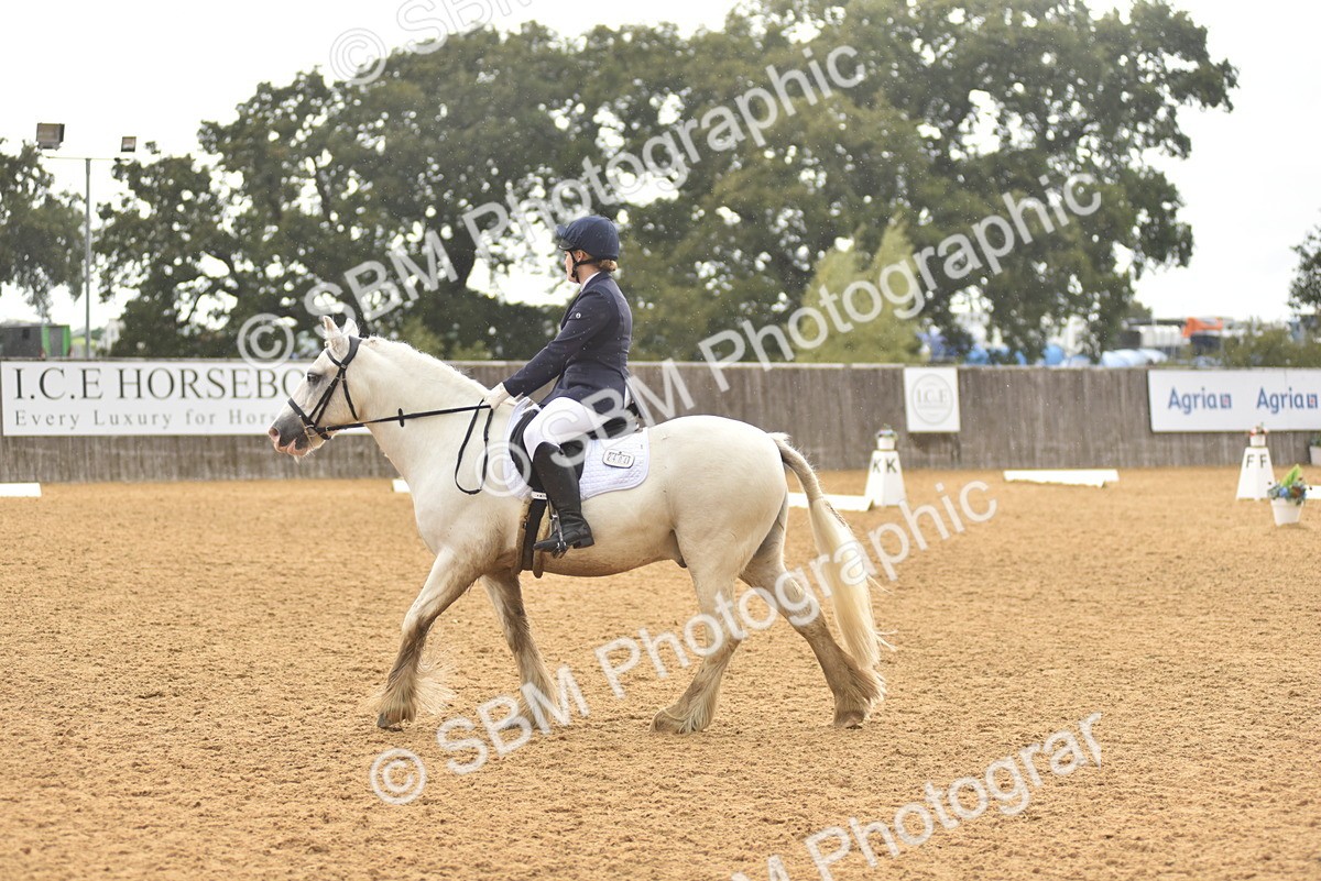 SBM_42413 - D22 - Junior Championship Intro 3