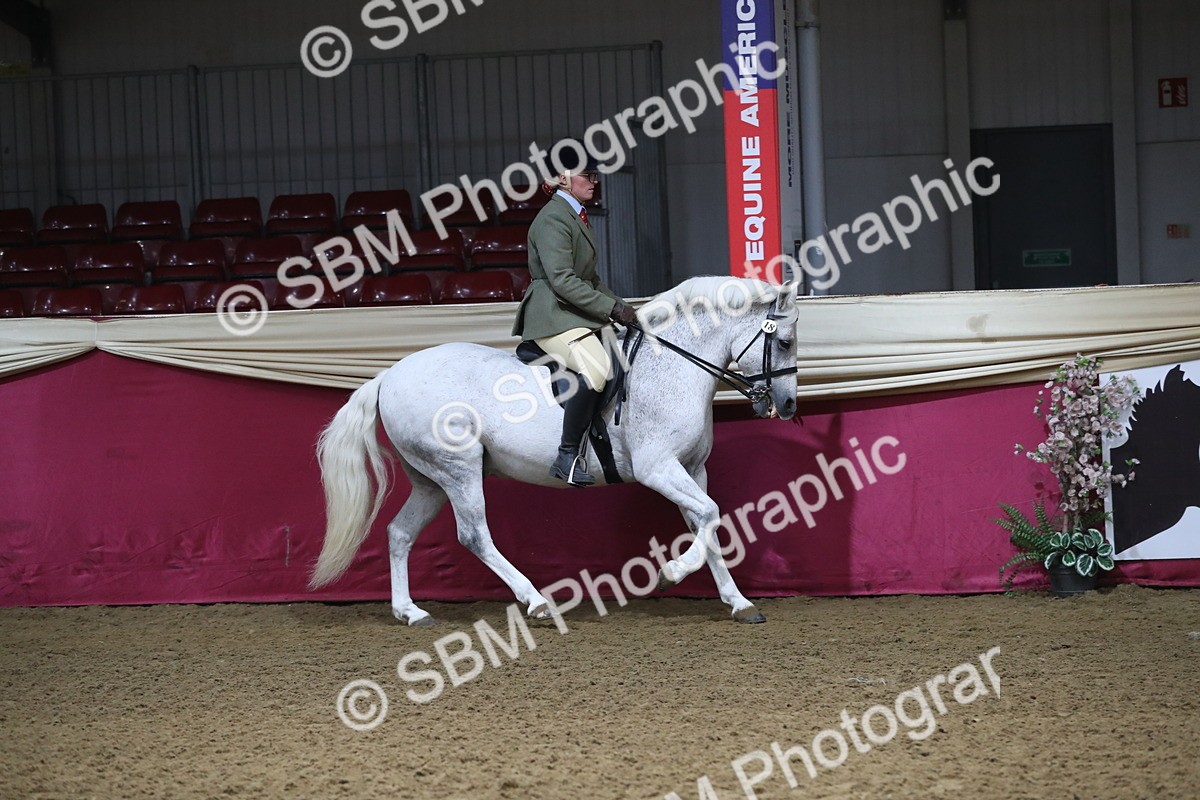 SBM_10397 - Class 102 Equitation (best rider) Adult