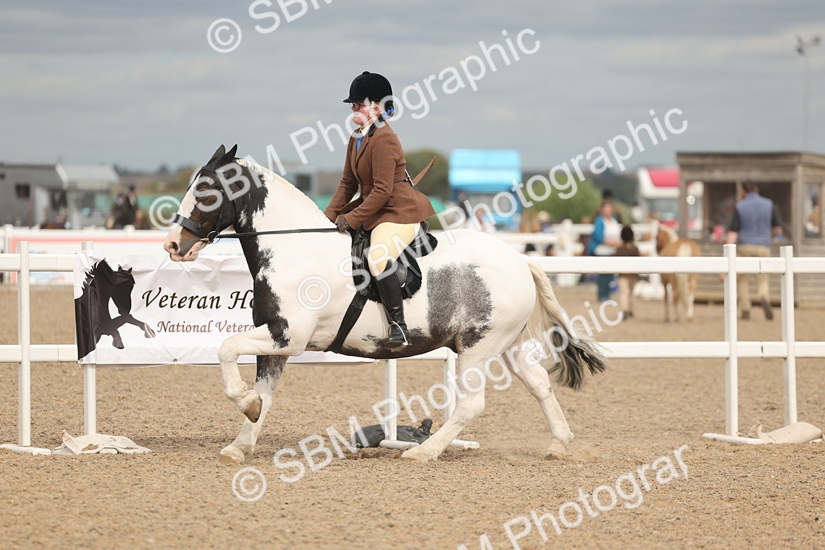 SBM_18022 - Class 314 - Family Horse Pony