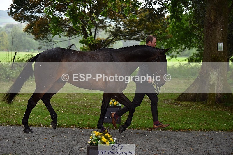 240522-151324-00179 - 316-LB_METTAPHOR-Tom_Rowland