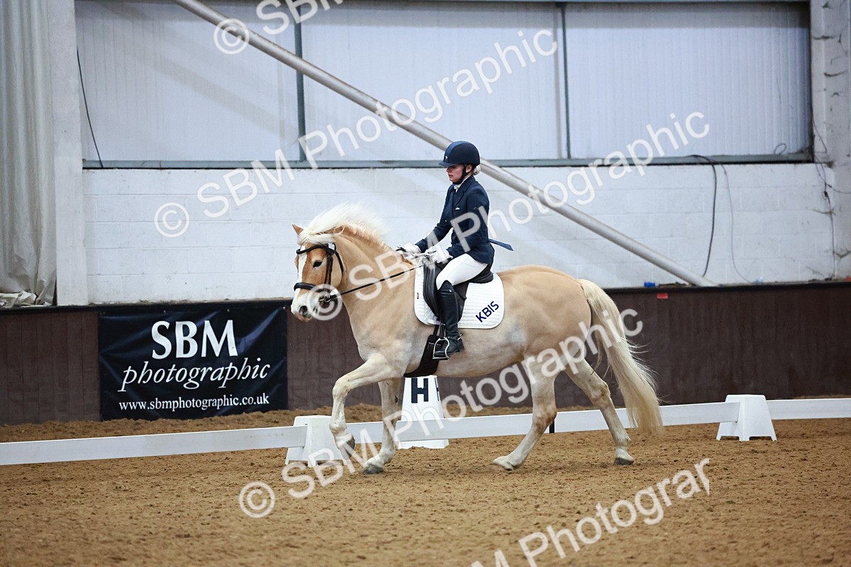 SBM_002895 - Novice Music