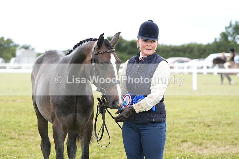 DSC06449 - Hunter/Riding Horse/Hack In Hand Championship
