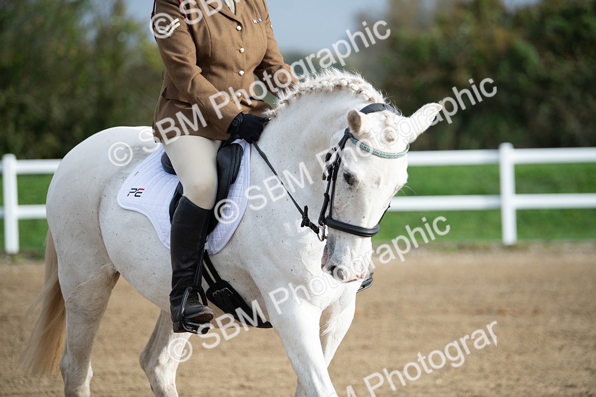 SBM_003511 - Introductory Test 3
