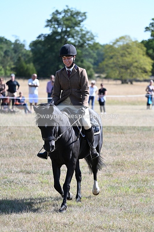 WJ7_3789 - Class 9 Mountain & Moorland Ridden