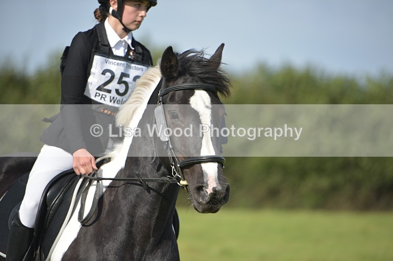 RAY_7624 - Class 2B: Trekenning Open: Dressage