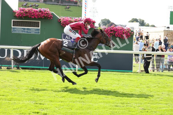 yr18082021r4-87 - Race 4 3.35pm Juddmonte International Stakes (British Champion Series race)