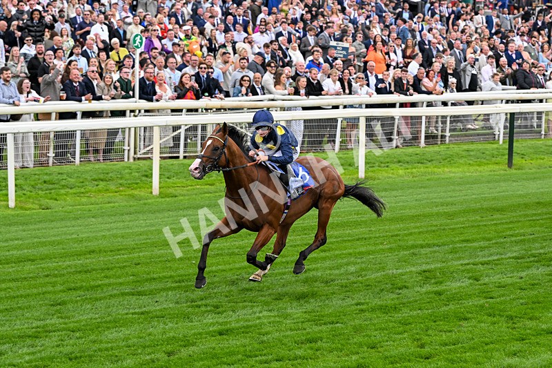 130626-Race 2-Extremely Zain-0904 - Race 2 14.25pm Sky Bet Supporting Macmillan Handicap