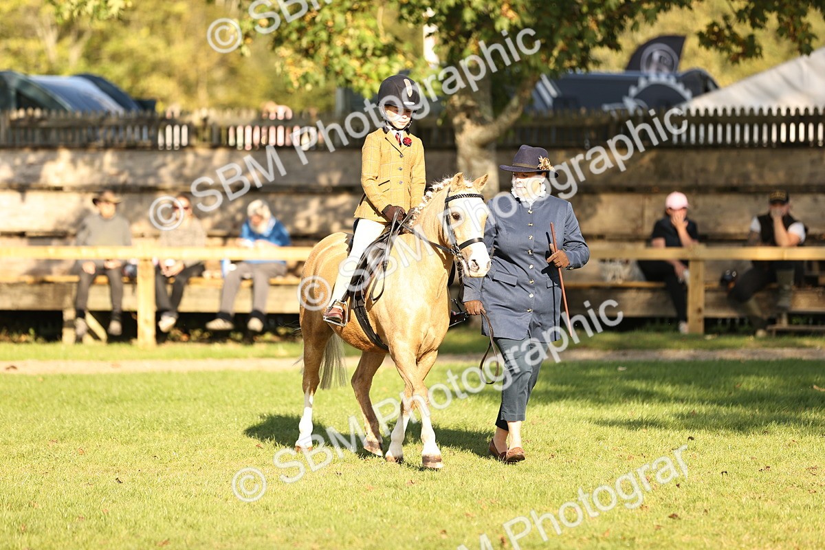 SBM_29383 - S7 - Novice & Newcomers Ridden Pony
