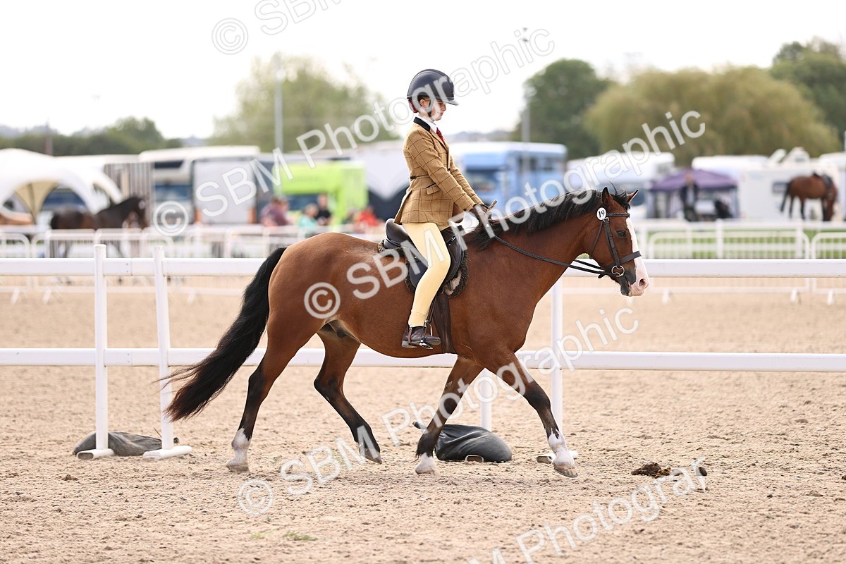 SBM_12830 - Class 409 - Grassroots Ridden - Pony