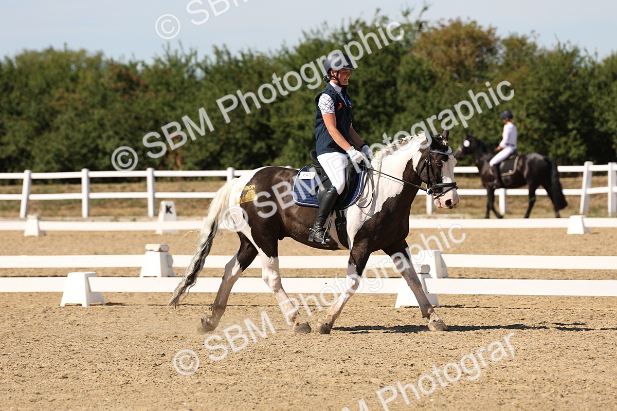 SBM_003701 - Elementary 4