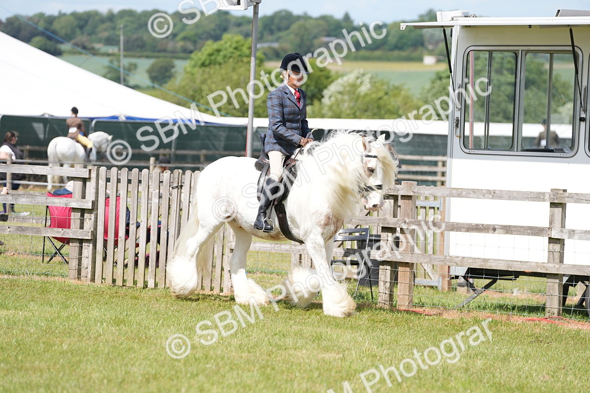 SBM_17097 - Class 107-108 - LIHS BSPS Performance Coloured Horse Pony