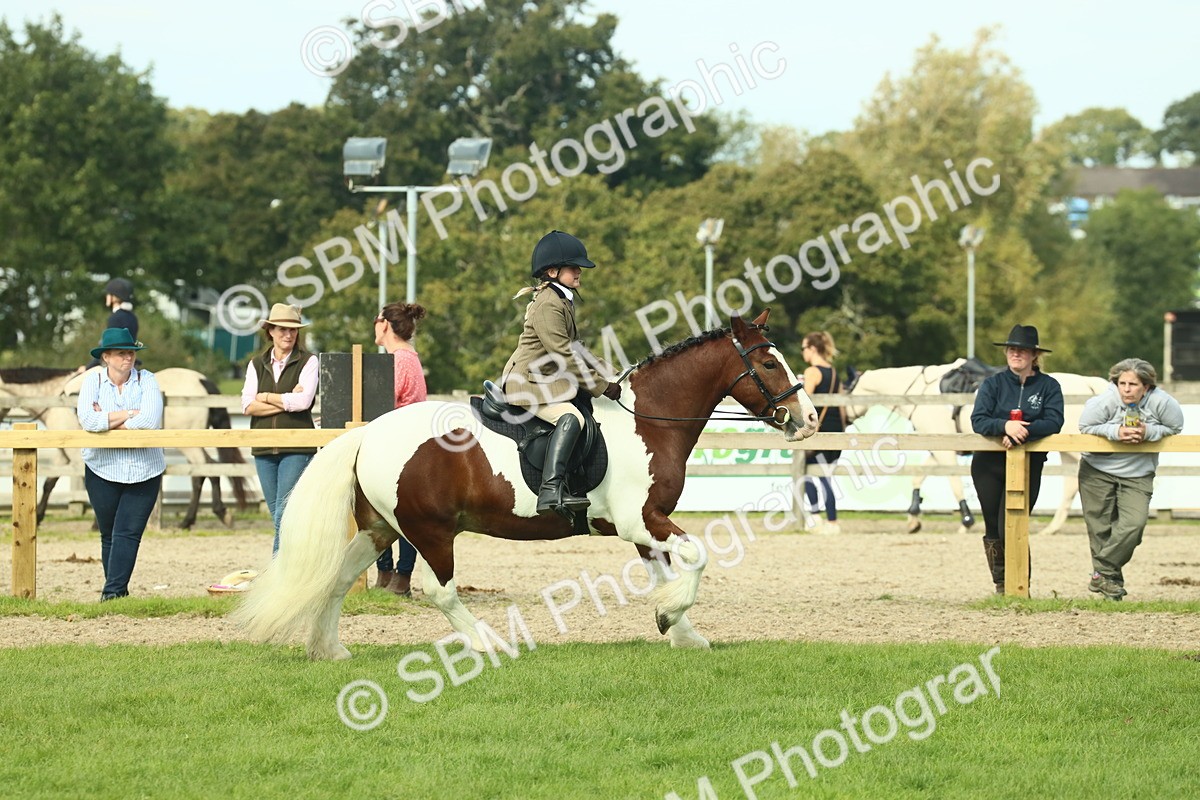 SBM_68841 - S58 - Mini Show Cob Ridden