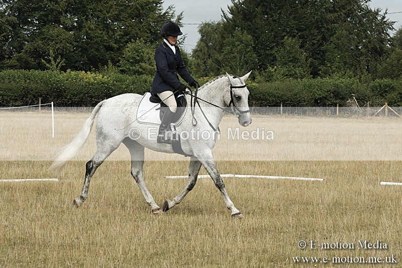_PJP5652 - Dressage Classes BVRC Show 2018