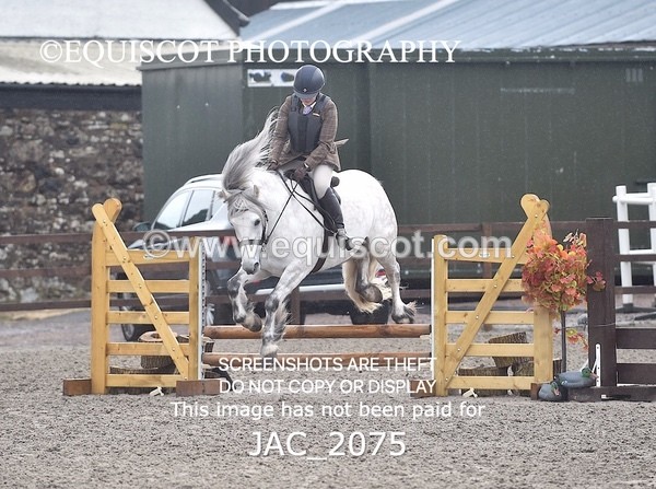 JAC_2075 - CLASS 1 Nursery Novice Working Hunter