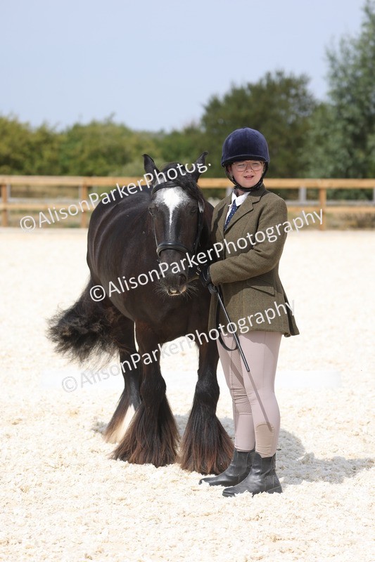 20260802-1498 - Class 16 - Best Horse or Pony