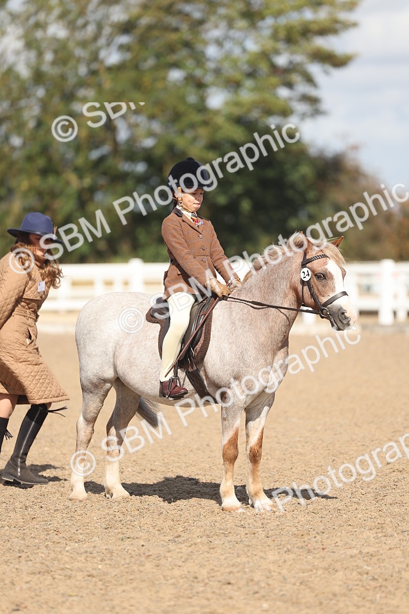 SBM_23109 - Class 806 - Young Rider 10ry and Under