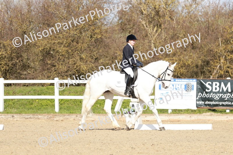 20260314-2967 - DR3 - Prelim 1