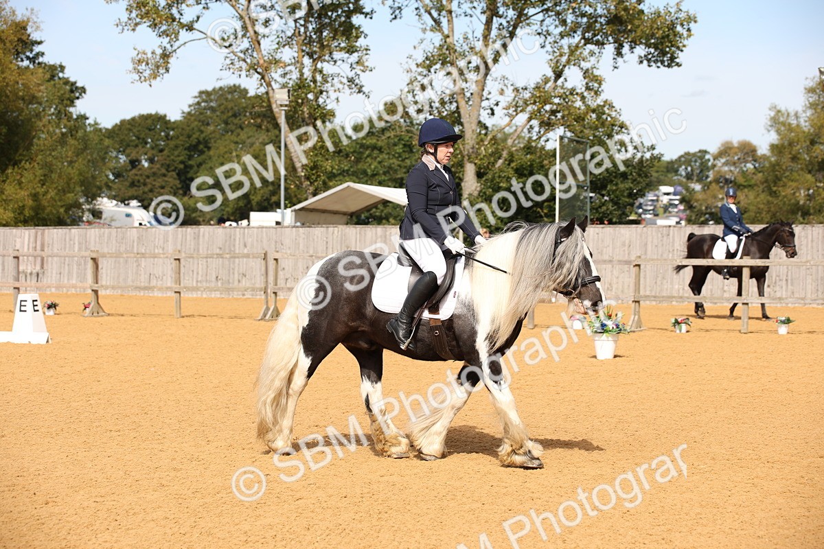SBM_21760 - D5 - Small Tour Championship - Intro C