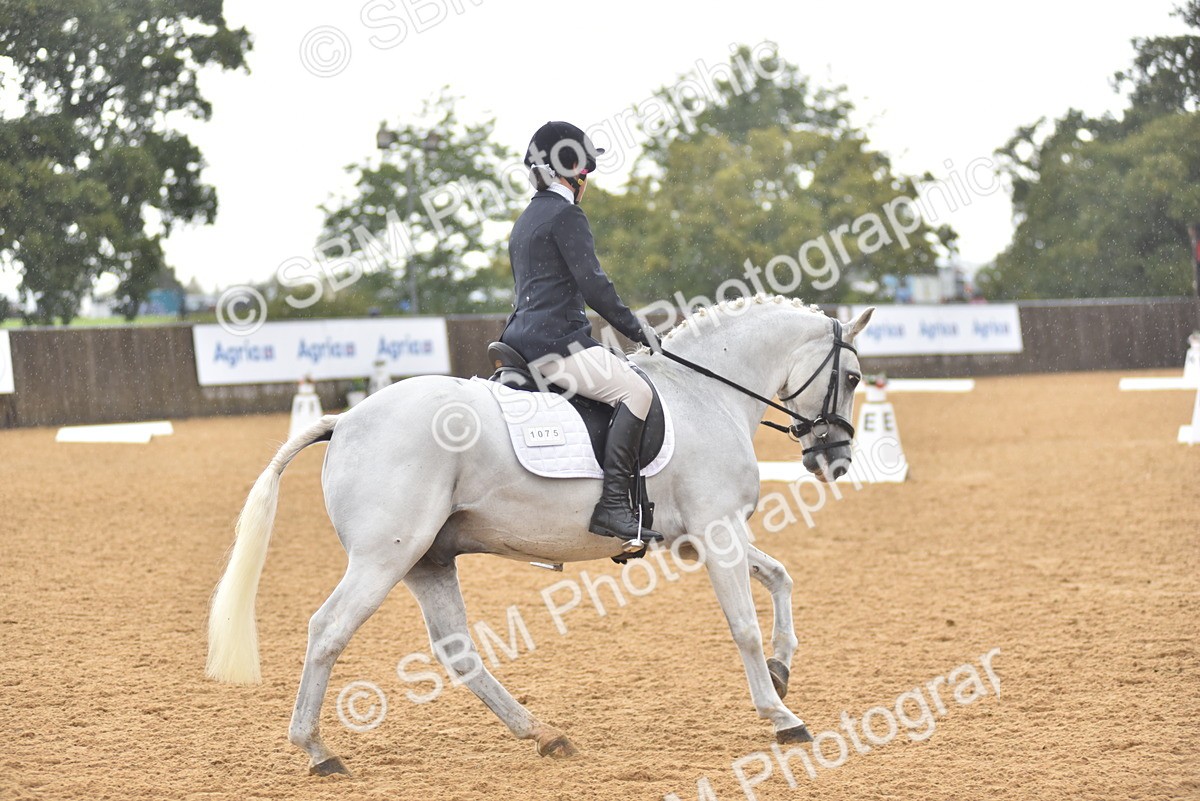 SBM_02070 - D7 - Small Tour Championship Prelim 2