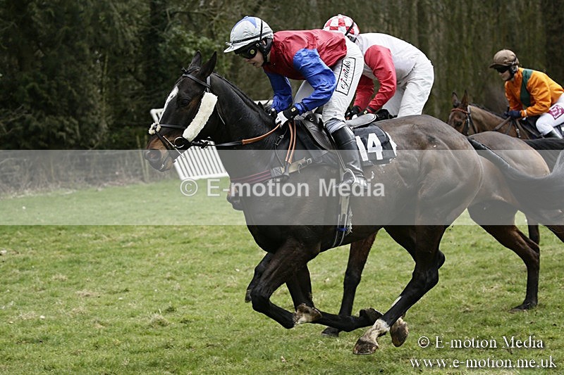 PtP 110318 124 - Hampshire Hunt Point-to-Point Hackwood Park 11/03/18