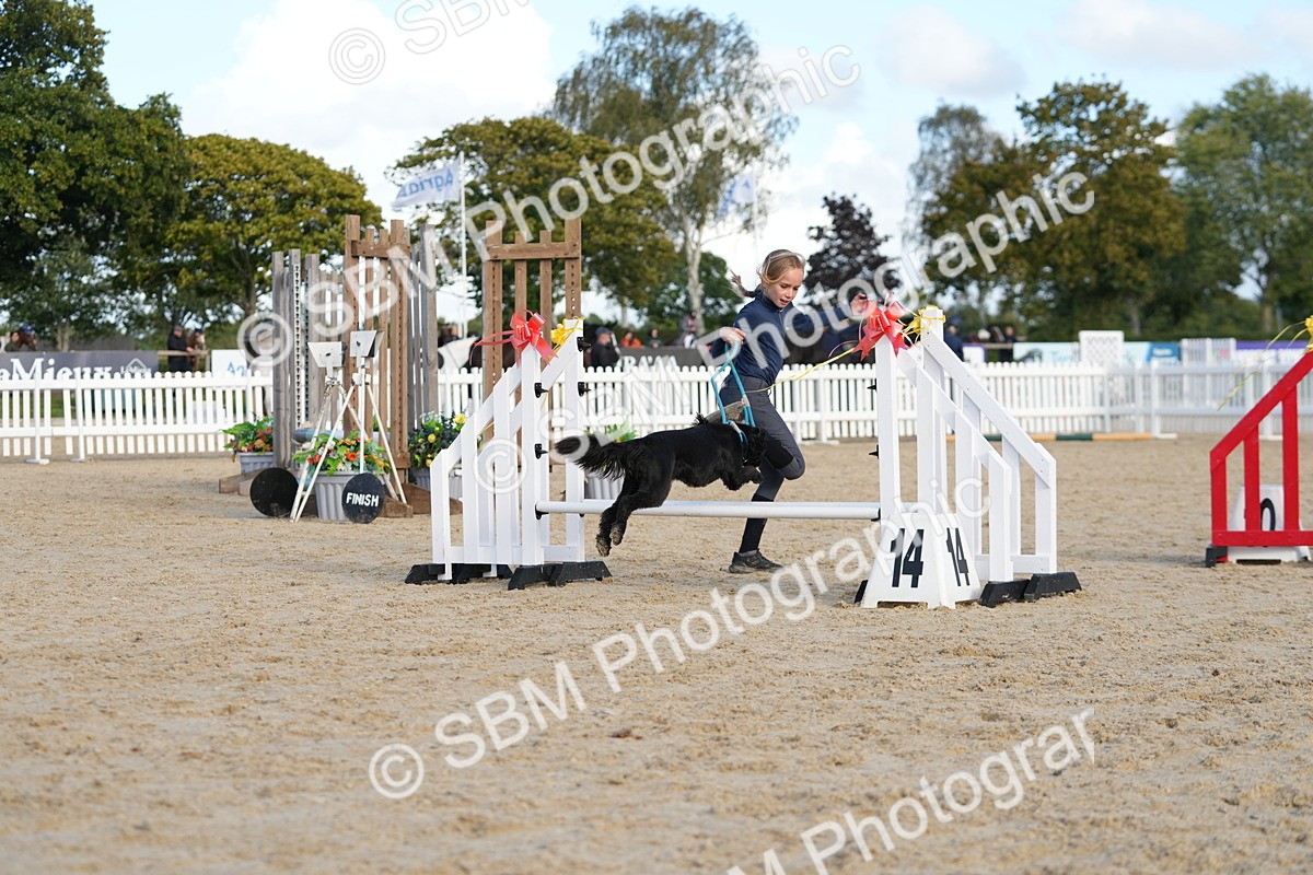 SBM_29134 - J43 - Horse & Hound Open 50cm