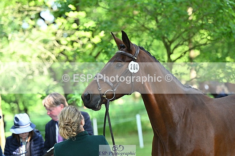 250521A-160259-00886 - C-204-Kirsty.Chabert-OPPOSITION.FIDELITY
