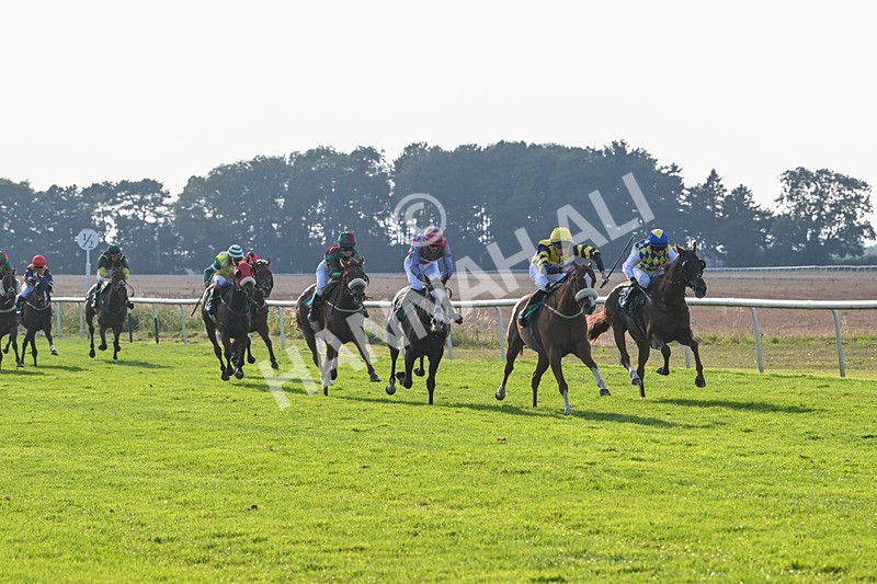 300824-Race 8-Captain Corelli-6638 - Race 8