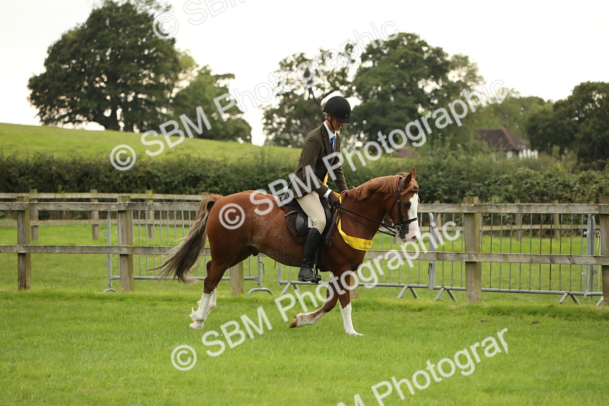 SBM_73885 - S41 - Ridden Equitation (Best Rider)