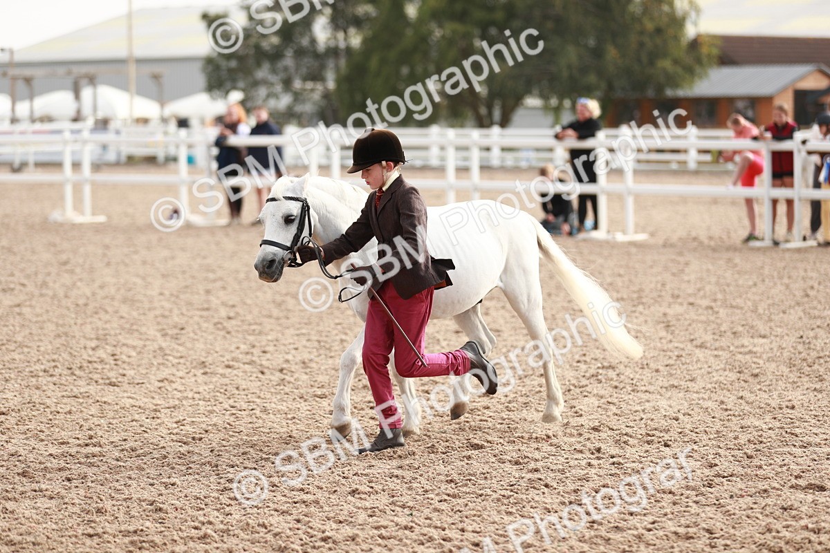 SBM_10568 - Class 204 Young Handler, 11-16 years