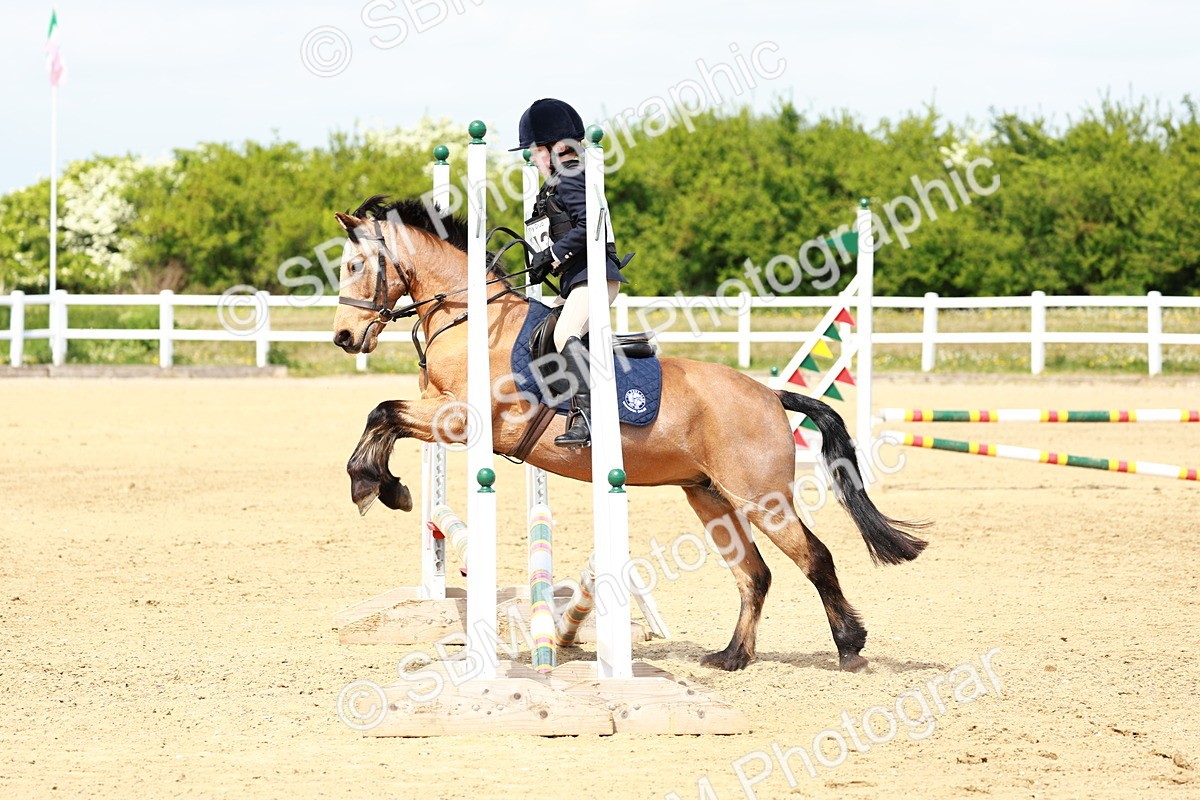 SBM_007861 - Class 3 - 60cm