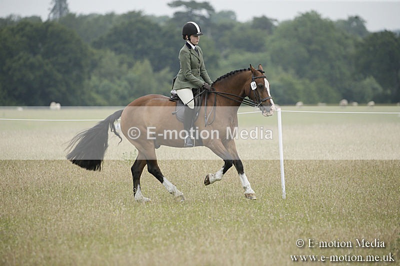 B230619-0310 - Bourne Valley Riding Club Summer Show 23/06/19