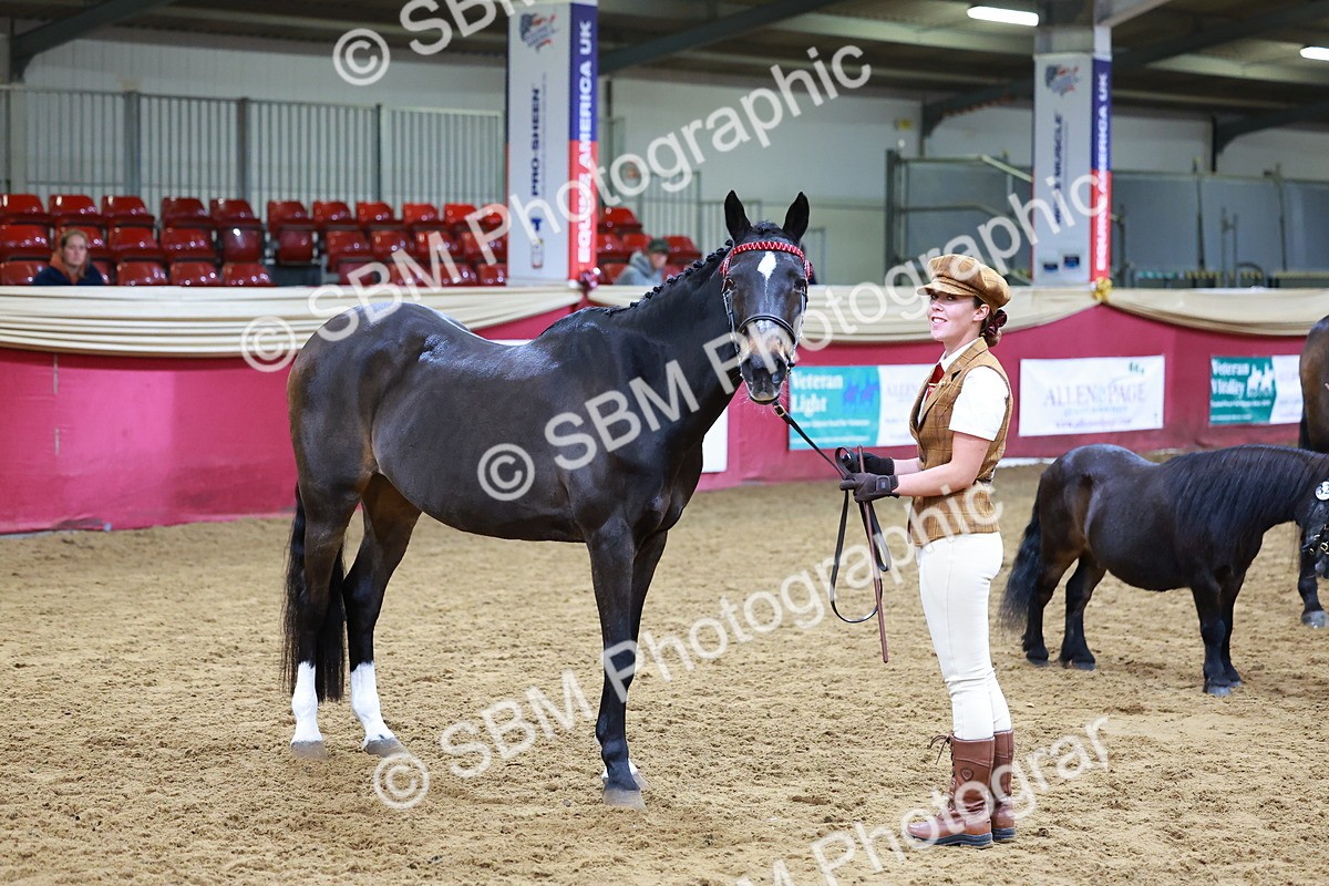 SBM_16224 - Class 901 - Sup Final - IH Diamond