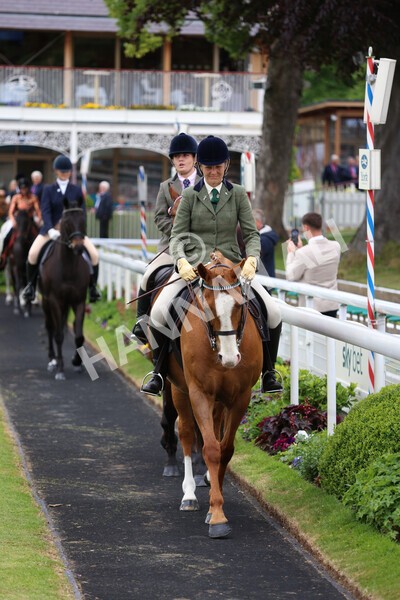 yr22052022r8e-68 - ROR - Parade Ring York