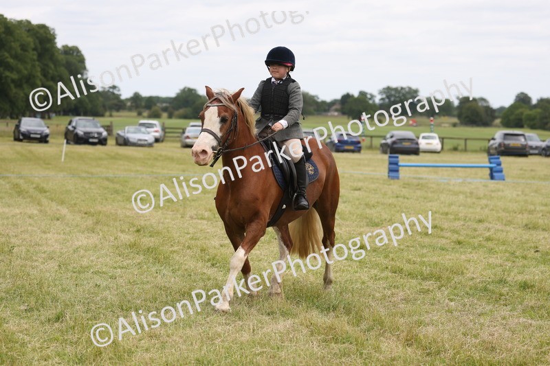 20260614-3104 - Class 22 - Open Working Hunter